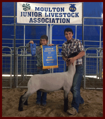 Moulton Livestock Show